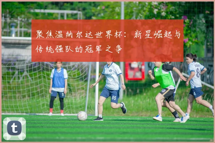 聚焦温纳尔达世界杯：新星崛起与传统强队的冠军之争