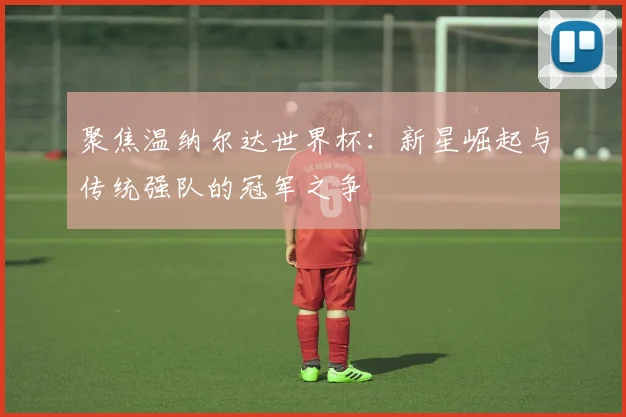 聚焦温纳尔达世界杯：新星崛起与传统强队的冠军之争