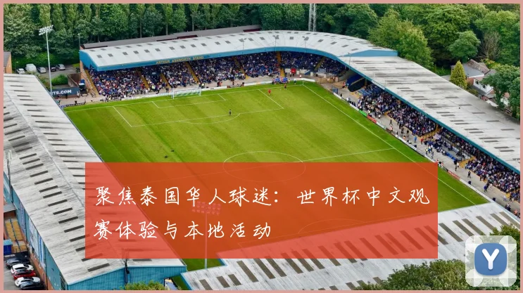 聚焦泰国华人球迷：世界杯中文观赛体验与本地活动