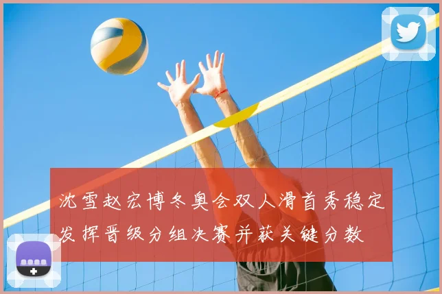 沈雪赵宏博冬奥会双人滑首秀稳定发挥晋级分组决赛并获关键分数