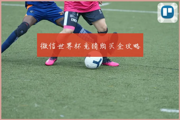 微信世界杯竞猜购买全攻略