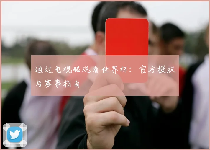 通过电视猫观看世界杯：官方授权与赛事指南