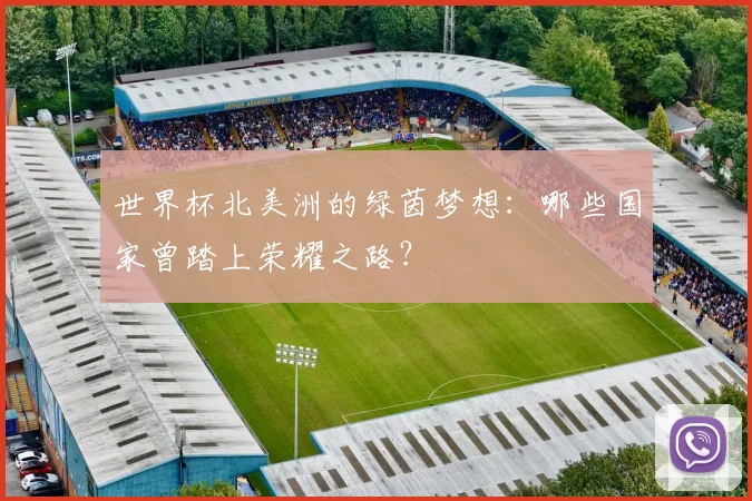 世界杯北美洲的绿茵梦想：哪些国家曾踏上荣耀之路？