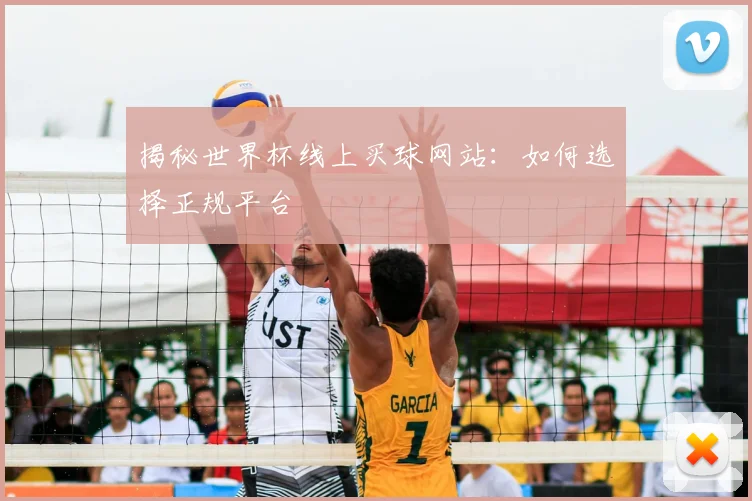揭秘世界杯线上买球网站：如何选择正规平台
