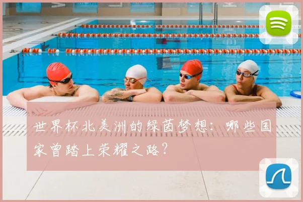 世界杯北美洲的绿茵梦想：哪些国家曾踏上荣耀之路？