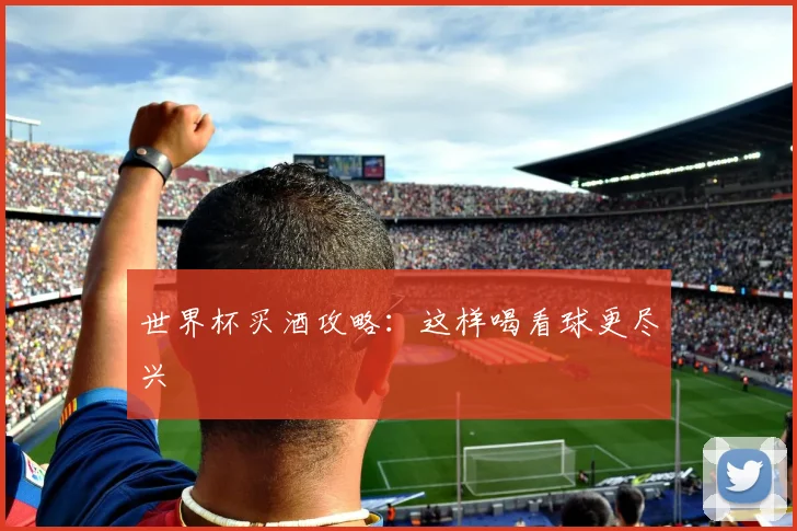 世界杯买酒攻略：这样喝看球更尽兴