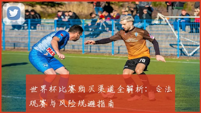 世界杯比赛购买渠道全解析：合法观赛与风险规避指南