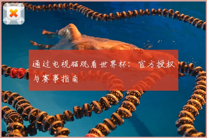 通过电视猫观看世界杯：官方授权与赛事指南