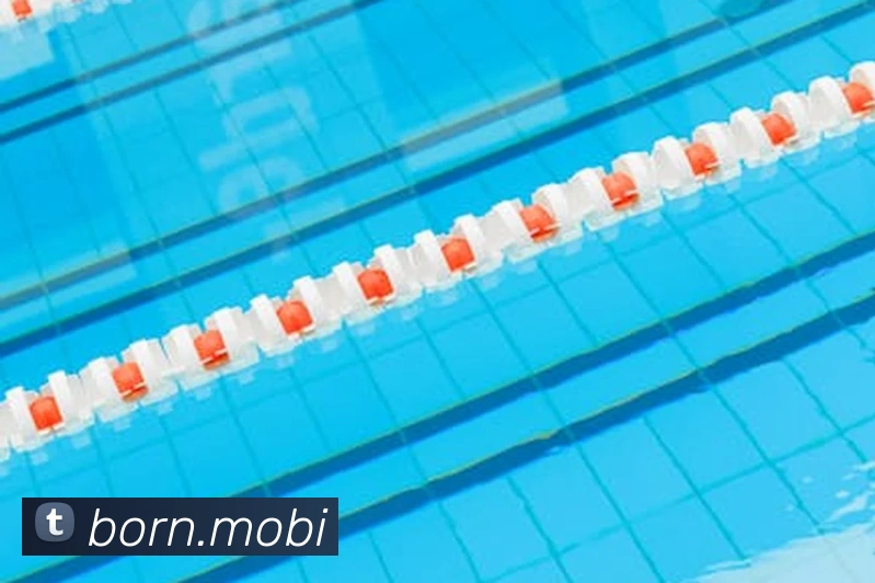 开云手机入口官方网站品牌故事