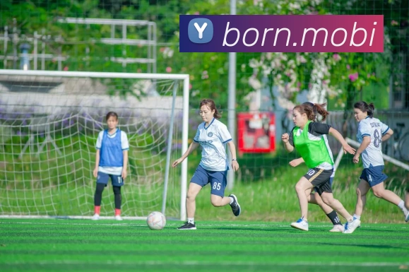 开云手机入口官方网站服务体系